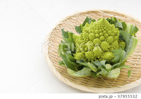 ロマネスコ 37955532