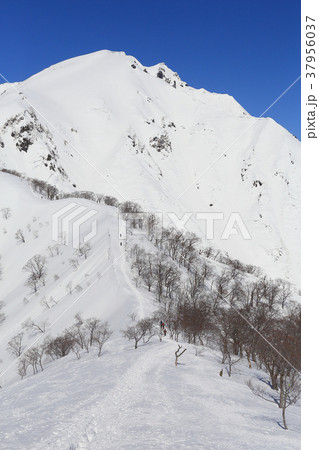 冬の天神尾根から谷川岳を見る 37956037