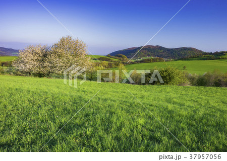 Mountainous country Czech Republic Mountainous country Czech Republic 37957056
