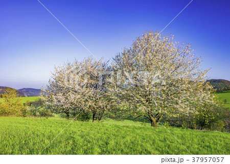 Mountainous country Czech Republic Mountainous country Czech Republic 37957057