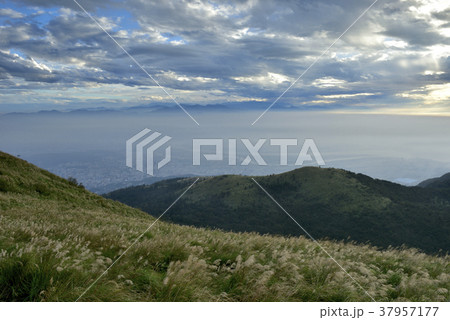 陽明山 台湾 秋 37957177