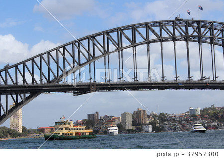 ハーバーブリッジ 37957300
