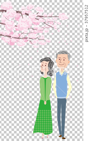 Cherry blossoms_senior_hanami - Stock Illustration [37957512] - PIXTA