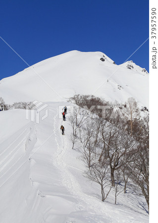 冬の天神尾根から谷川岳を見る 37957590