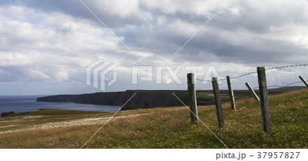 Landscape shot of scottish highlands 37957827