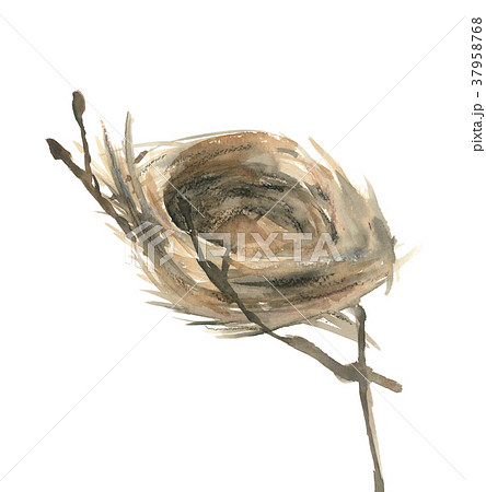鳥の巣のイラスト素材
