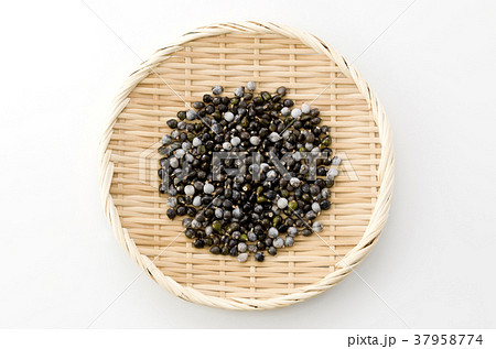 数珠玉 数珠玉 37958774