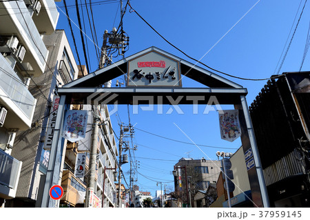 谷中銀座 37959145