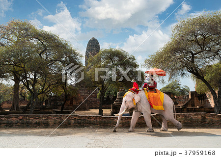 Couple tourists riding elephant ride in Ayutthaya 37959168