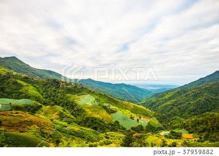 Cloud-covered mountains Cloud-covered mountains 37959882