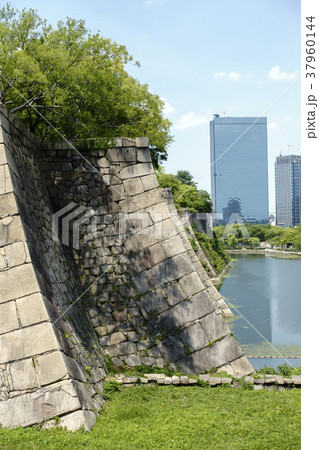 大阪城公園空堀から見る内堀の石垣と高層ビル 大阪城公園空堀から見る内堀の石垣と高層ビル 37960144