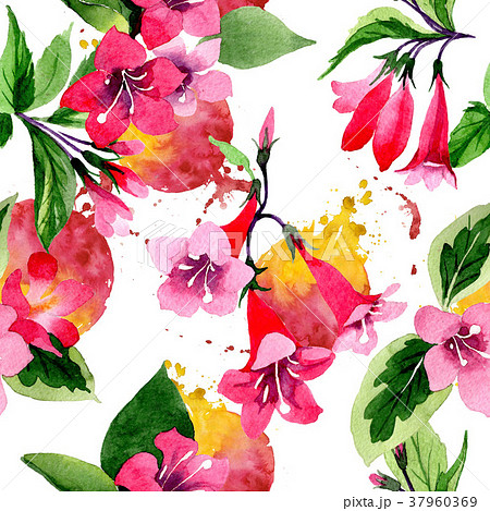 Wildflower weigela flower pattern in a watercolor 37960369
