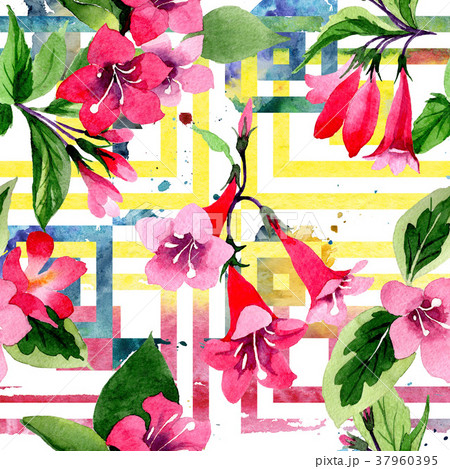 Wildflower weigela flower pattern in a watercolor Wildflower weigela flower pattern in a watercolor 37960395