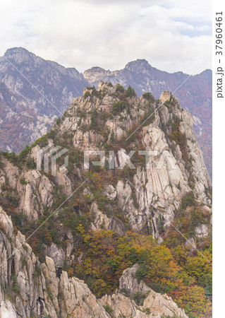 自然 雪岳山 江原道 37960461
