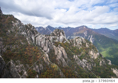 自然 韓国 雪岳山 37960464