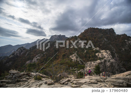 雪岳山 江原道 束草市 37960480