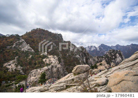 自然 雪岳山 山 37960481