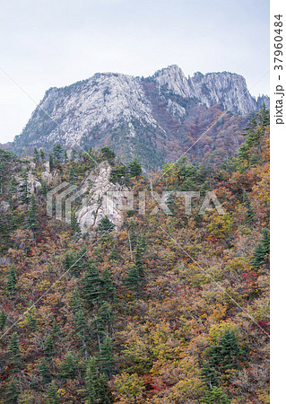 雪岳山 山 江原道 37960484