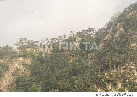 自然 雪岳山 山 37960519