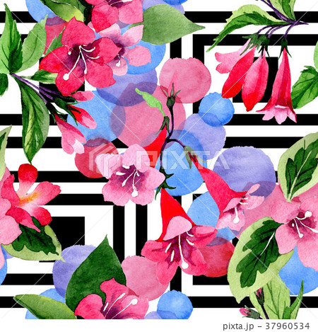 Wildflower weigela flower pattern in a watercolor Wildflower weigela flower pattern in a watercolor 37960534