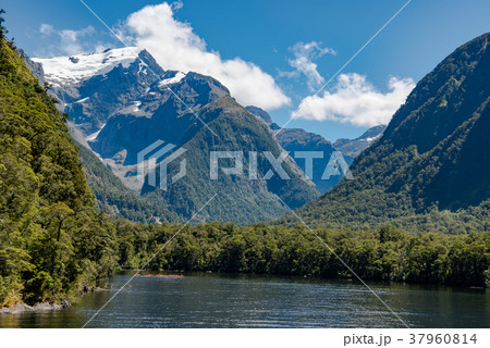 ミルフォード・サウンドの周遊クルーズ ミルフォード・サウンドの周遊クルーズ 37960814