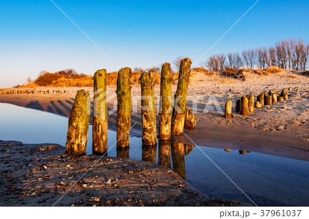 Baltic Sea coast in the evening in Kuehlungsborn Baltic Sea coast in the evening in Kuehlungsborn 37961037