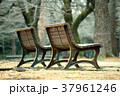 公園のベンチ 大宮公園 37961246