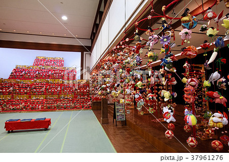 つるし雛と雛段飾り 37961276