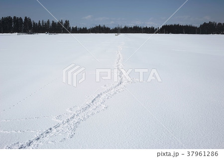 雪景色 雪景色 37961286
