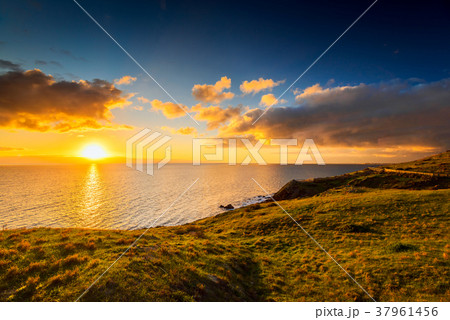 Hallett Cove Boardwalk Hallett Cove Boardwalk 37961456