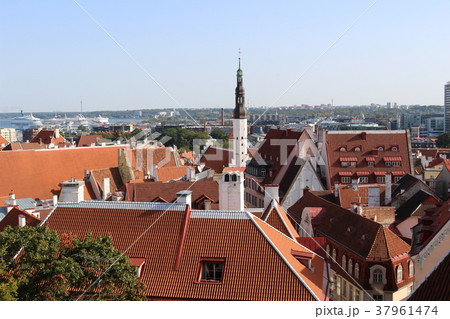 タリン旧市街の風景 世界遺産 エストニア ヨーロッパ バルト3国の写真素材