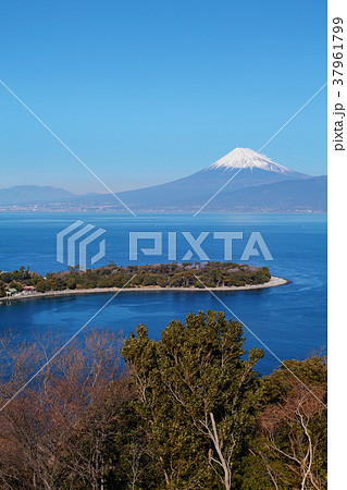 【静岡県・観光名所】大瀬崎と富士山 【静岡県・観光名所】大瀬崎と富士山 37961799