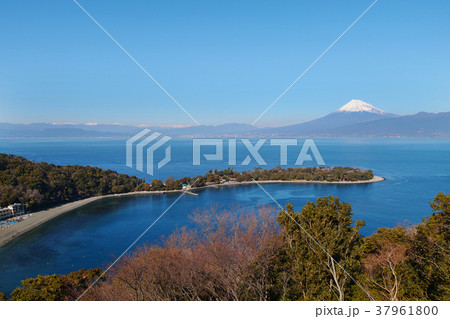 【静岡県・観光名所】大瀬崎と富士山 37961800