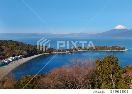 【静岡県・観光名所】大瀬崎と富士山 37961801