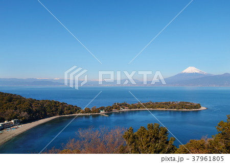 【静岡県・観光名所】大瀬崎と富士山 37961805