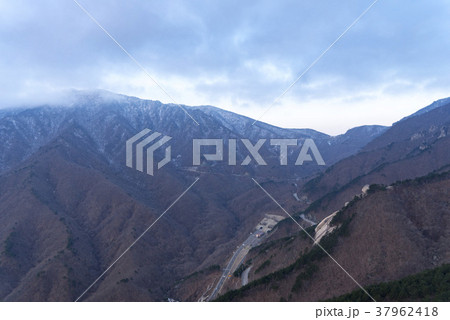 金剛山 木 屋外 37962418