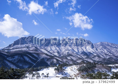 雪景色 江原道 山 37962499