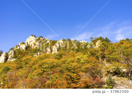 空 山 紅葉 37962500