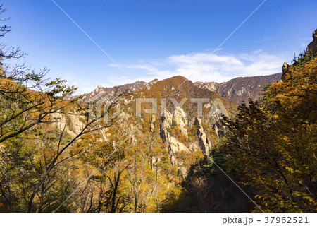 木 空 雪岳山 37962521
