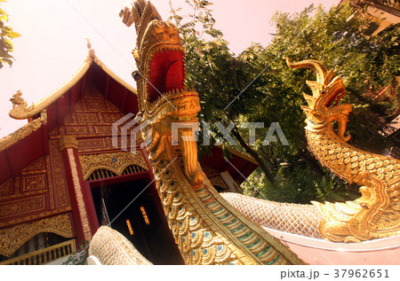 ASIA THAILAND CHIANG RAI 37962651