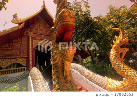 ASIA THAILAND CHIANG RAI 37962652