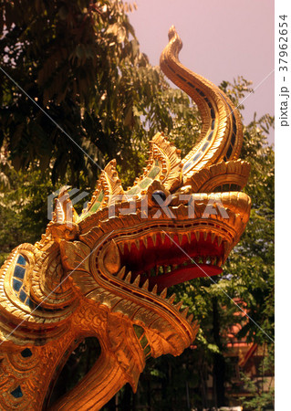 ASIA THAILAND CHIANG RAI 37962654