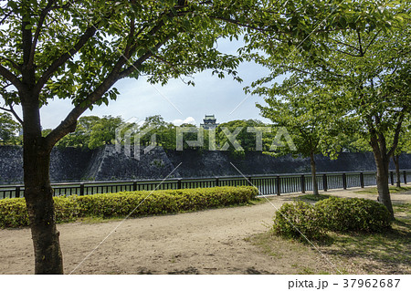 大阪城公園東外堀と記念樹の森から望む天守閣 37962687