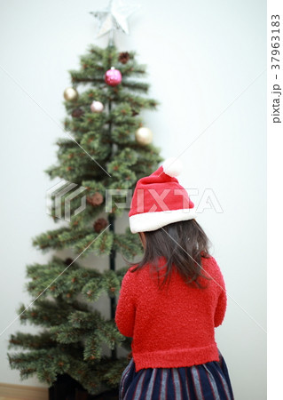 クリスマスツリー (行事 イベント マンション 一軒家 ホームパーティー 松の木 樹木 植物 冬) クリスマスツリー (行事 イベント マンション 一軒家 ホームパーティー 松の木 樹木 植物 冬) 37963183