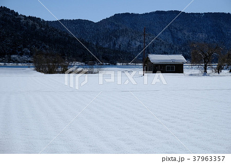 滋賀県　余呉湖　雪景色 37963357