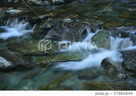 高知県安居渓谷の清流 37964949