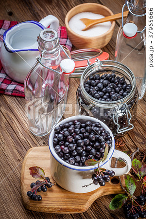 Fruits of black chokeberry prepared for processing Fruits of black chokeberry prepared for processing 37965666