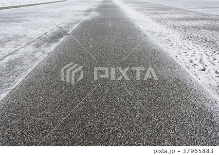 雪が積もり始めた歩道 雪が積もり始めた歩道 37965883