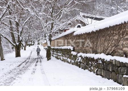冬 屋外 室外 37966109