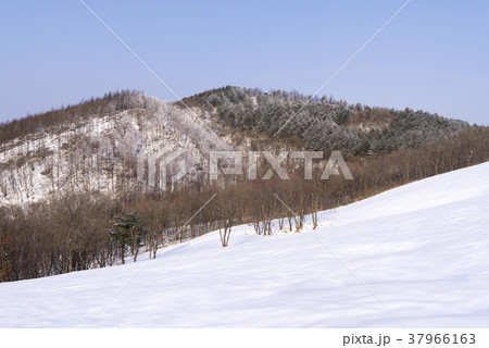 冬 雪景色 自然 37966163